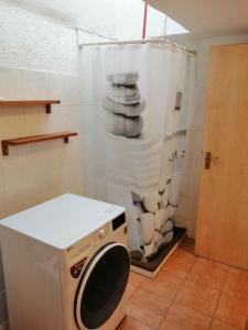 eine Waschmaschine im Bad mit Dusche in der Unterkunft Mammut Apartments in Balve