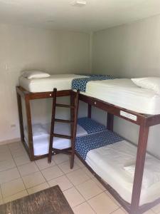 a room with two bunk beds and a ladder at Hostal Casa Huasteca in Ciudad Valles