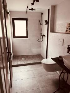 a bathroom with a shower and a toilet and a sink at HEIMATliebe Ferienhaus für 4 in Blankenhain
