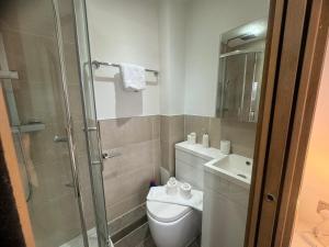 e bagno con doccia, servizi igienici e lavandino. di Modern 1 Bedroom self contained apartment a Welwyn Garden City