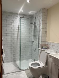 La salle de bains est pourvue d'une douche, de toilettes et d'un lavabo. dans l'établissement Whidlecombe Farm, à Priston