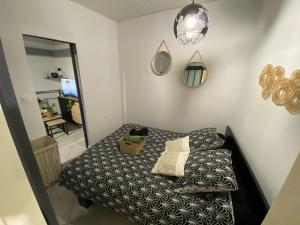 um quarto com uma cama com um espelho e um espelho em Chez William et Elisa em Jonzac