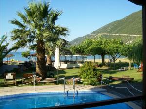 a view of a swimming pool with a palm tree at Hotel Grand Nefeli in Vasiliki