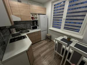 uma pequena cozinha com um lavatório e um frigorífico em Apartments Victoria em Panevėžys