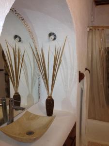 a bathroom with two potted plants on a counter at Casa Luna Playa in Puerto Ángel