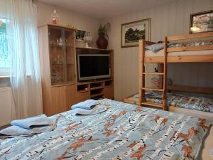 a bedroom with a bed and a bunk bed at Bei Mayer's in Ringsheim