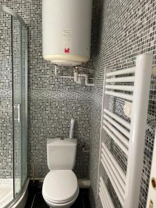 La salle de bains est pourvue de toilettes blanches et d'un lavabo. dans l'établissement Charmant Studio en rez de jardin dans propriété privé pour 4 personnes, à La Londe-les-Maures