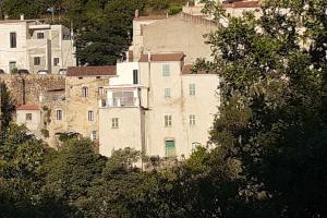 eine Gruppe von Gebäuden auf einem Hügel mit Bäumen in der Unterkunft Gîte E Curtaline in Speloncato