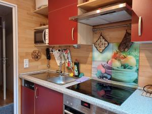 a kitchen with red cabinets and a sink at Bei Mayer's in Ringsheim