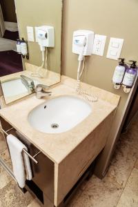 a bathroom counter with a sink and a mirror at Gamma Puebla Señorial Centro in Puebla