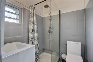 a bathroom with a shower and a toilet and a sink at Villa Alma Da Lua in Saint-Pierre