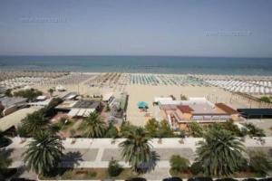 uma praia com muitas palmeiras e o oceano em SEA STAR Holidays House - Beach 150 m - Private parking em Pescara