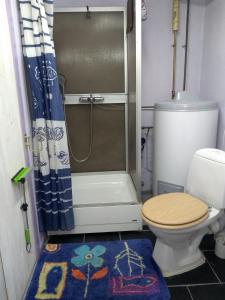 La salle de bains est pourvue d'une douche, de toilettes et d'un rideau de douche. dans l'établissement Frivoll, 35 minutes walk to town., à Arendal