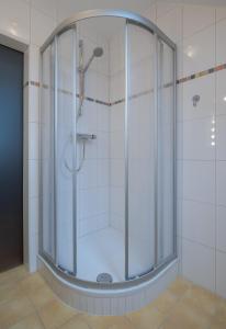 La salle de bains est pourvue d'une douche avec une porte en verre. dans l'établissement Ferienhaus Jordi & Lara by Appartementhaus Theresia, à Bad Mitterndorf