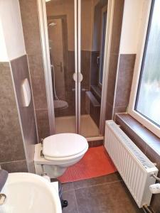 een badkamer met een toilet en een douche bij Nordseeluft Apartment in Bremerhaven