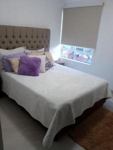 a bedroom with a bed with purple pillows and a window at FORO SOL, AUTODROMO, AEROPUERTO CDmX in Mexico City