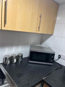 eine Küchentheke mit einer Mikrowelle auf der Arbeitsplatte in der Unterkunft Alexander Greek Thomson Apartment in Glasgow