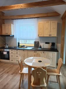 A kitchen or kitchenette at Apartamenty Krysin Zakopane