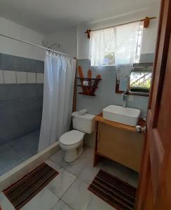 een badkamer met een toilet, een douche en een wastafel bij Au paradis des Lapas in Cabuya