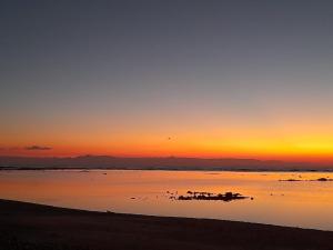 una puesta de sol sobre un cuerpo de agua con un grupo de animales en Au paradis des Lapas, en Cabuya