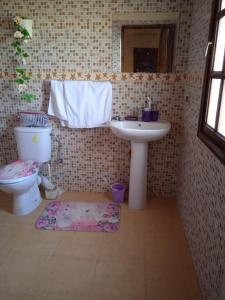 a bathroom with a sink and a toilet at Marrakech Luxury Villa Farm in Marrakech