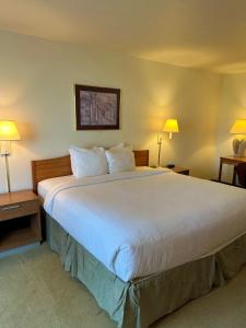 a large bed in a hotel room with two lamps at Peppermill Empress Inn in Centralia