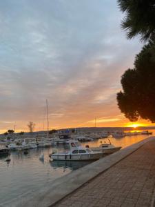 a group of boats docked in a marina at sunset at Family Apartments Vesna- 100 m Beach -Center Crikvenica in Crikvenica
