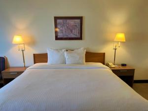 Postel nebo postele na pokoji v ubytování Peppermill Empress Inn