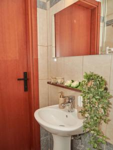 uma casa de banho com um lavatório, um espelho e uma planta em Florina Modern Studio em Florina