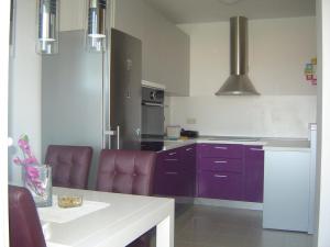 Kuchyň nebo kuchyňský kout v ubytování Apartment Natasha