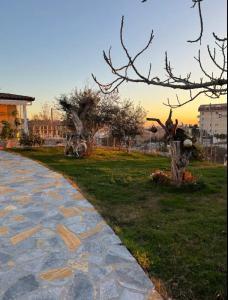 a stone walkway next to a park with a tree at Villa Nikol in Tirana