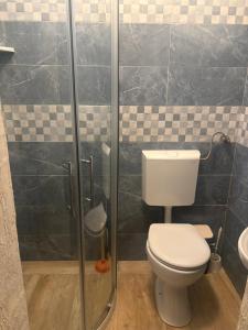 a bathroom with a toilet and a shower at Rooms & Apartments Semić in Opatija