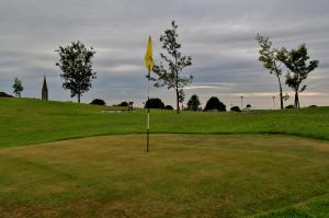 a golf course with a yellow flag on the green at Millbrook House in Oldcastle