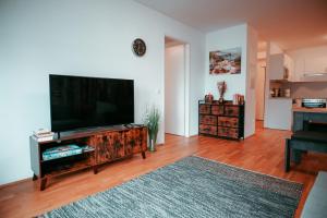 a living room with a large flat screen tv at Vienna Cosy Apartment 107 in Vienna