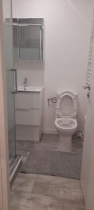 a white bathroom with a toilet and a sink at Chambre proche mer et aeroport in Nice
