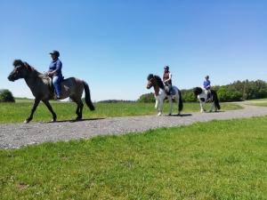 a group of people riding horses on a gravel road at Ponyhof Adam Urlaub auf dem Bauernhof in Eschlkam