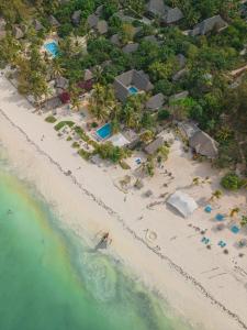 een luchtzicht op een strand met een resort bij Sharazad Oasis Retreat in Jambiani