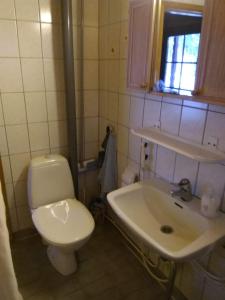 a bathroom with a toilet and a sink at Lapikas in Kallo +12 photos