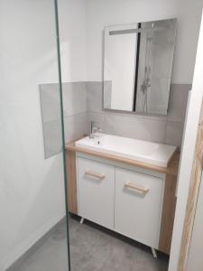 ein Bad mit einem Waschbecken und einem Spiegel in der Unterkunft Résidence Les Hauts de France in Noeux-les-Mines