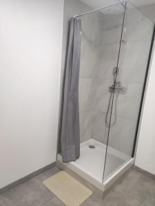 La salle de bains est pourvue d'une douche avec une porte en verre. dans l'établissement Résidence Les Hauts de France, à Noeux-les-Mines