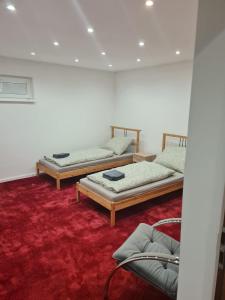 two beds in a room with a red carpet at Dom pri rieke s parkovaním in Žilina