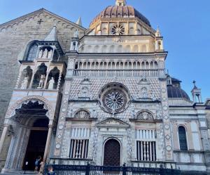 Galería fotográfica de The L i b r a r y en Bergamo