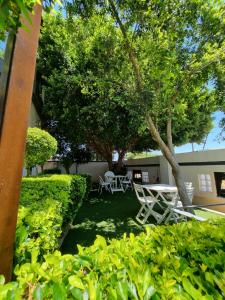 a yard with two chairs and a table and trees at Apelles Palace Guest House in Gaborone
