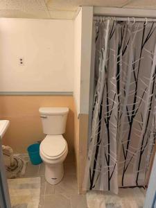 a bathroom with a toilet and a shower curtain at Retro 5 bed house in the heart of entertainment in Blue Island