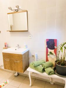 La salle de bains est pourvue d'un lavabo et d'un miroir. dans l'établissement La Tiny House au bord de l'eau, à Saint-Hilaire-Saint-Mesmin