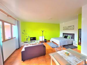 サンタナにあるDiscovery Apartmentの緑の壁のベッドルーム1室、ベッド1台、ソファが備わります。