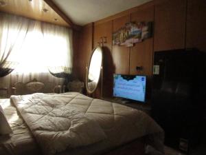a bedroom with a large bed and a television at The guest house in Alexandria