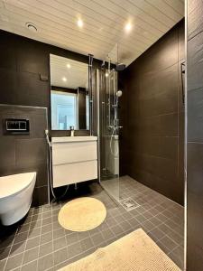 ロヴァニエミにあるLuxury Penthouse In City Centerのシャワー、トイレ、洗面台を備えたバスルーム +28枚の写真