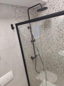 a shower in a bathroom with a glass door at LUX ARENA RESIDENCE EMA in Pula