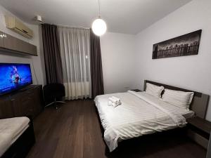 um quarto de hotel com uma cama e uma televisão de ecrã plano em elisio - Pani Nani Apartment em Brasov